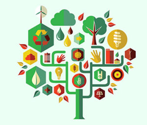 The Boring Office sustainability policy wall